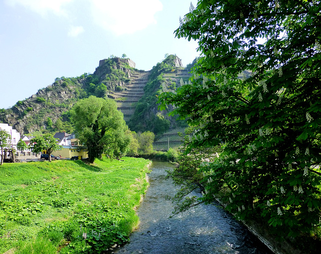 DE - Mayschoß - Ahr river and Saffenburg castle