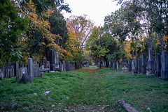 Im alten jüdischen Friedhofsteil.