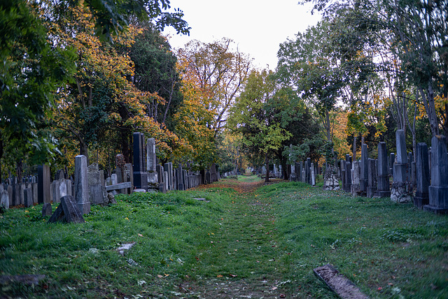 Im alten jüdischen Friedhofsteil.