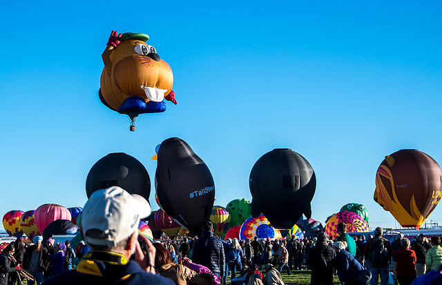 Albuquerque balloon fiesta.11jpg