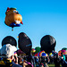 Albuquerque balloon fiesta.11jpg