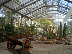 Xerophilous greenhouse.