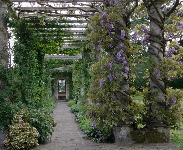 The Pergola