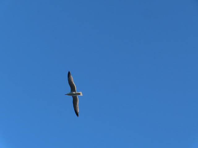 El cielo es mío.