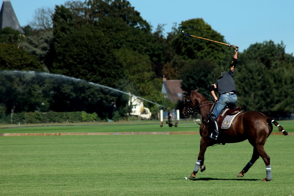 Polo à Chantilly