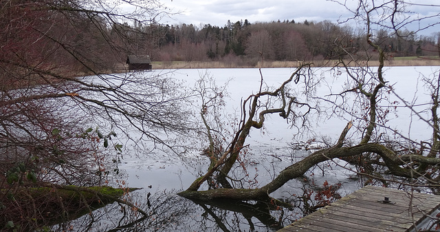 nach dem Sturm