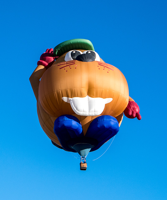 Albuquerque balloon fiesta.13jpg