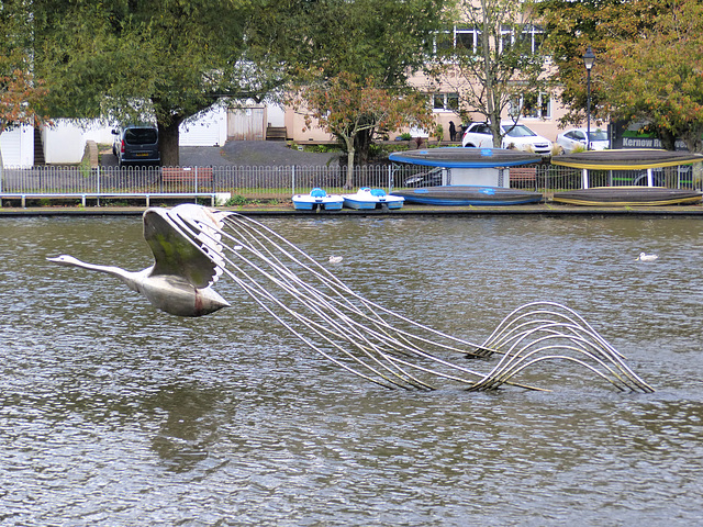 Swan Sculpture - 24 September 2020