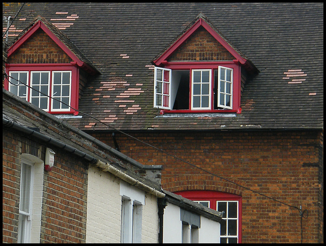 newly painted windows