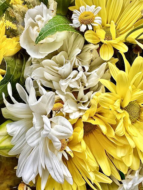 Bouquet at Costco