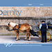 ipernity homepage with #1626