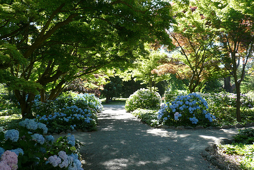 Christchurch Botanic Gardens