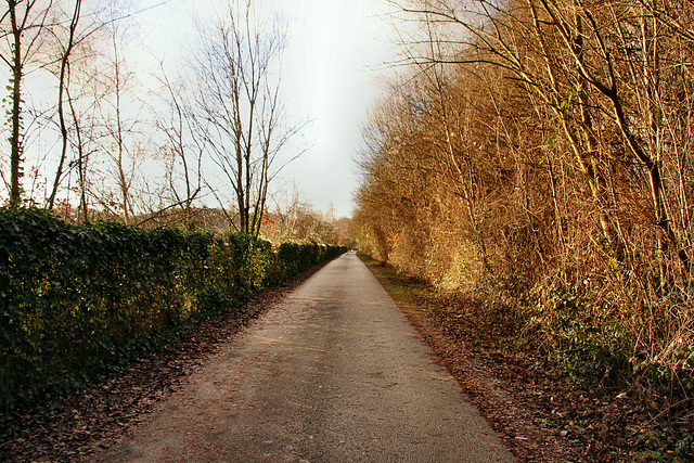 Radweg Erzbahntrasse (Bochum-Hordel) / 14.01.2019