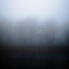 Lakeside Fog 059