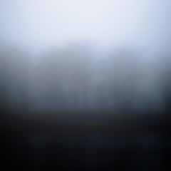 Lakeside Fog 059