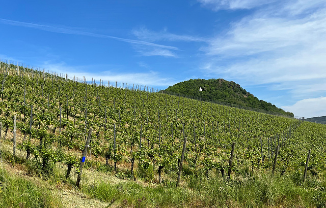 Blick zur Landskrone