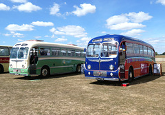 'BUSES Festival' at Sywell Aerodrome - 7 Aug 2022 (P1120958)
