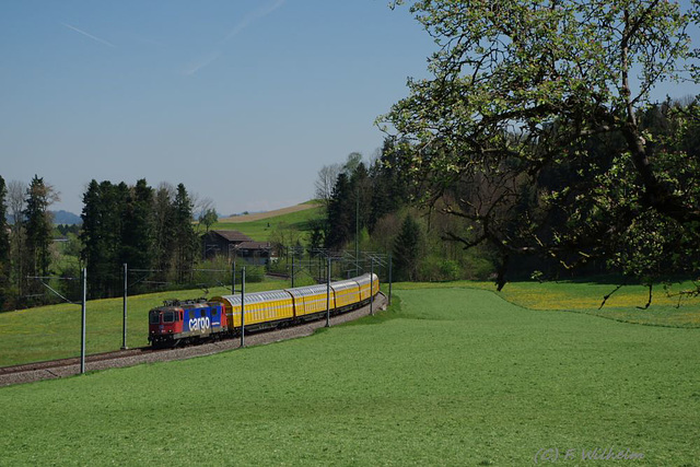 BÖ0033197