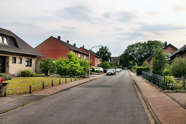 Hoonkesweg (Dorsten-Rhade) / 20.07.2024