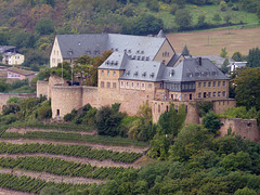 Die Ebernburg