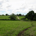 Footpath leading to Hill Farm at Hill Somersal.
