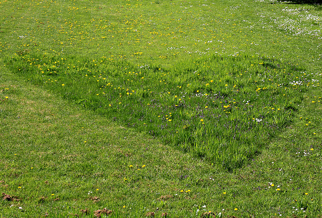 Ein Herz für die Wiese