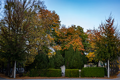 Herbst am Zentralfriedhof.