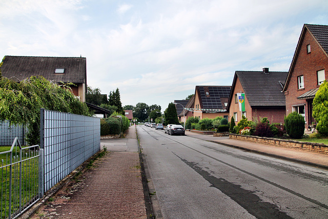 Feldstraße (Dorsten-Rhade) / 20.07.2024