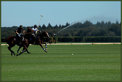 Polo à Chantilly