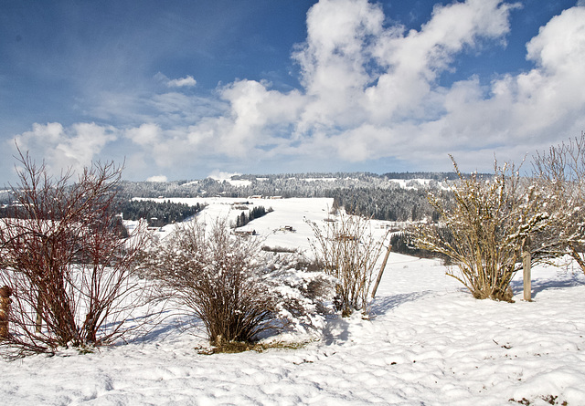 Winter im Allgäu