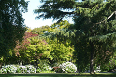 Christchurch Botanic Gardens