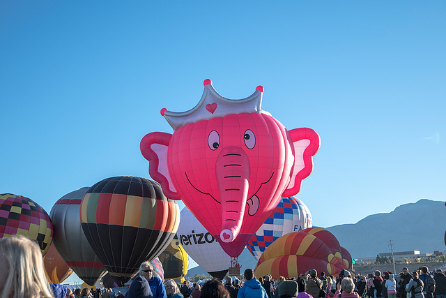 Albuquerque balloon fiesta2