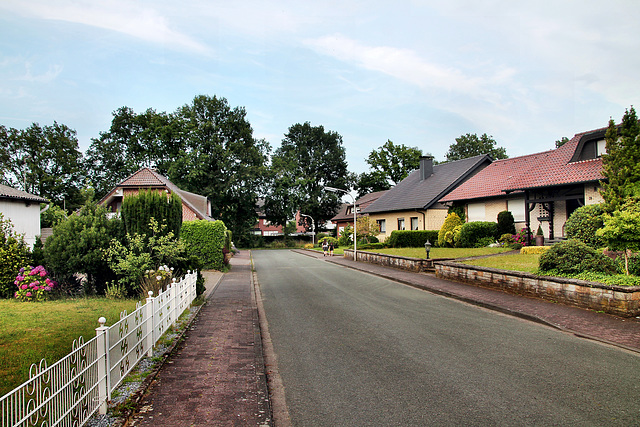 Hoonkesweg (Dorsten-Rhade) / 20.07.2024