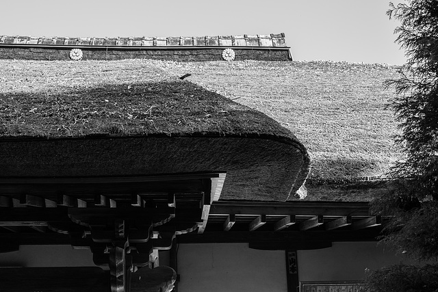 Thatched roof of a temple