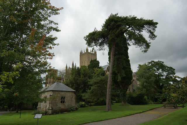 Bishop's Palace Gardens