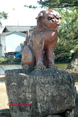 Lion-dog guard Kibitsuhiko Shrine 2  Okayama Shinto shrine