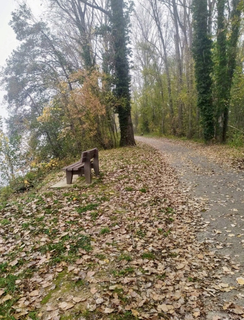 Moment de repos , au bord du Rhône