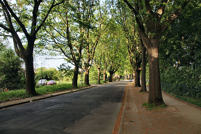 Burgstraße (Oberhausen-Holten) / 3.05.2025