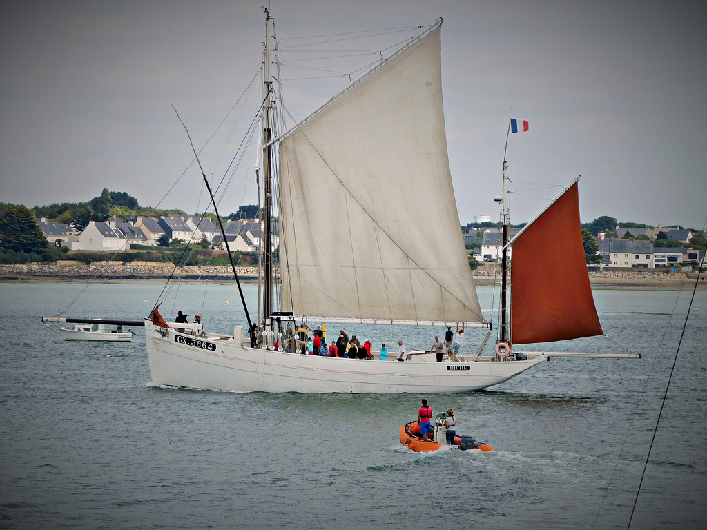 notre biche