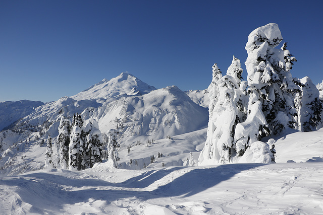 Mount Baker in January