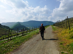 DE - Mayschoß - Me, my first time on the red wine trail
