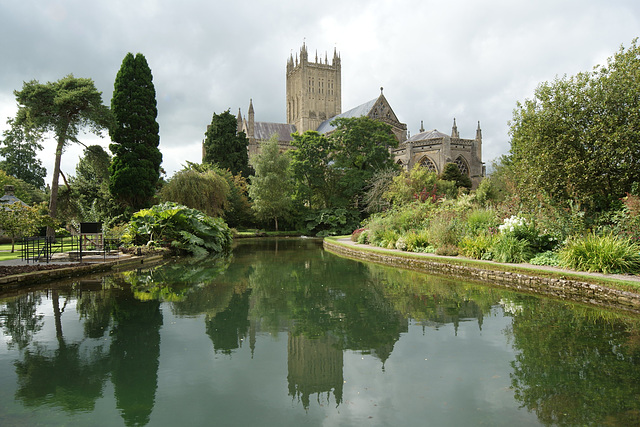 Reflections Of Wells Cathedral