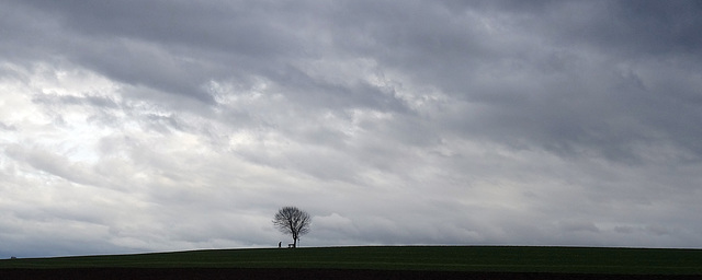 The One Tree Hill of Kemmental