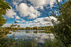 Herbst am Hohnsensee