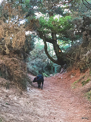 Track through the Findhorn Dunes