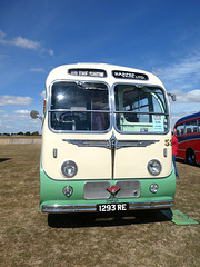 'BUSES Festival' at Sywell Aerodrome - 7 Aug 2022 (P1120930)
