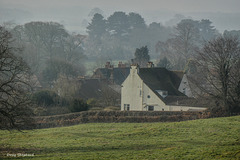 Misty Monday Morning