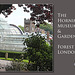 Horniman Museum & Gardens  - 8.8.2013