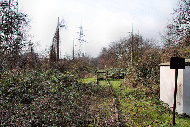 Altes Gleis der ehem. Zechenbahn Lohberg (Duisburg-Fahrn) / 17.02.2018