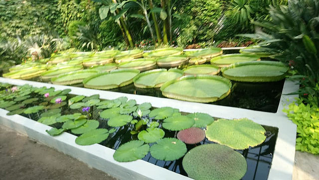 Jardín Botánico de Villa Taranto